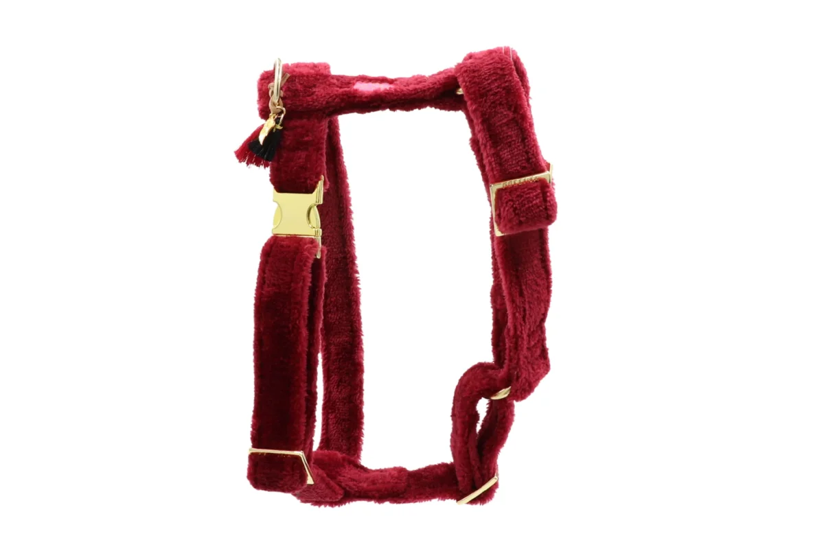 Hundegeschirr "Cashmere Dark Red" – Bild 2