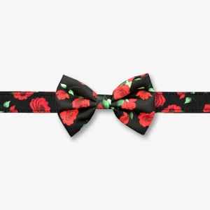 Hundehalsband & Fliege ROSE