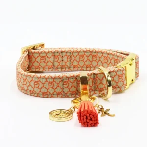 Halsband "SIGNATURE" Orange