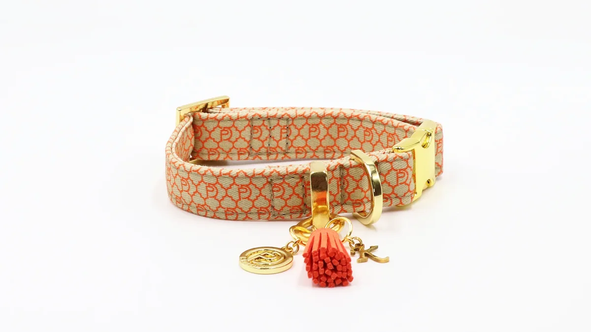 Halsband "SIGNATURE" Orange
