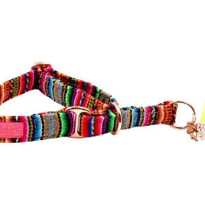 Zugstopp Halsband "LaaVida Grau"