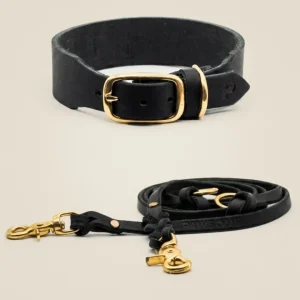 Set | Leather collar & leash in cognac