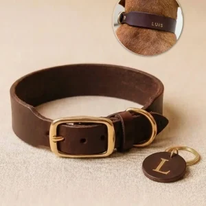 Personalizable collar with name | chestnut