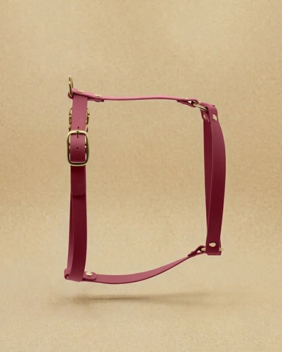 Dog harness made of Biothane 'Mika' | magenta