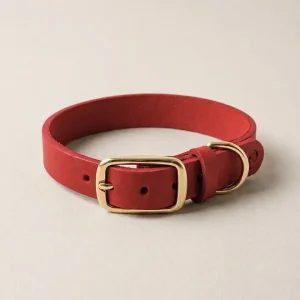 Narrow leather collar in chili