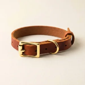 Personalizable puppy collar made of greased leather